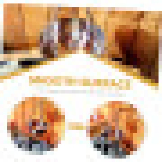 Mangkok Minyak Esensial Stainless Steel dengan Lengan Berputar, Aksesori Spa Dinding untuk Ruang Sauna, Ruang Infrared dan Aromaterapi