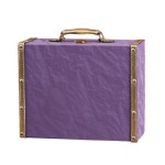 Peti Penyimpanan Dekoratif Kayu – Gaya Koper Antik, Kotak Pajangan untuk Dekorasi Rumah dan Penyimpanan Ruangan (23,5x7 cm)