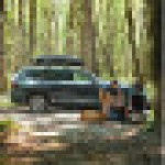 Thule Force 3 XXL Sport Ukuran Kotak Kargo Atap Mobil