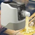 Automatic Pasta Maker Machine Model 260W-13, Electric Pasta Extruder With 480g Flour Capacity, Noodle Molds, Grey