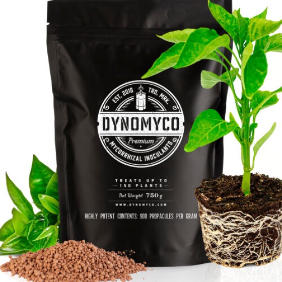 Mycorrhizal Inoculant oleh DYNOMYCO — Strain Berkinerja Tinggi — Formula Terkonsentrasi — Meningkatkan Penyerapan Nutrisi — Meningkatkan Hasil Tanaman & Peningkatan Kinerja