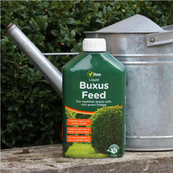 Vitax Buxus Pakan Cair 1 Liter Konsentrat hingga 225 Liter Pakan untuk Tanaman Buxus Hijau Sehat