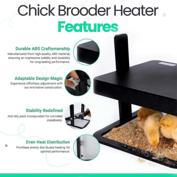 Piring Pemanas Peternakan Unggas 12x12 Inci untuk 15 Anak Ayam dengan Tinggi Dapat Disesuaikan