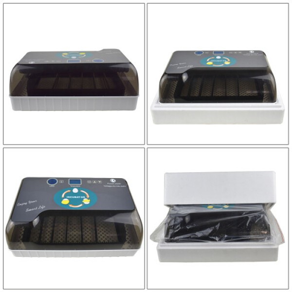 Inkubator 12 Telur dengan Pemutaran Otomatis, Layar Kelembaban & Suhu, dan Candler | Kompak 32,5×21×12cm