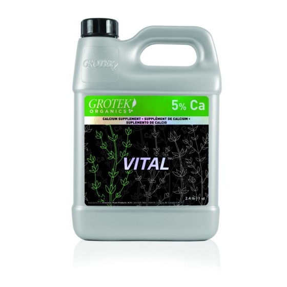 (1L) Grotek - Vital