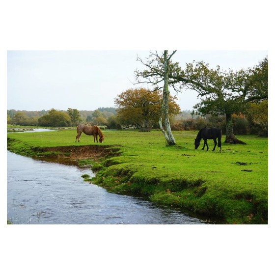 Certikin 50Mm/2.00” フレキシブルヘビーデューティーホース（ブラック）－30M (FP50HD/30)