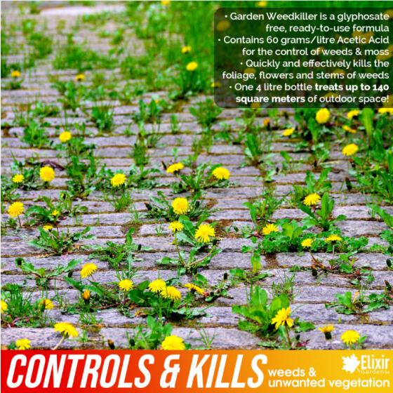 (Ya, 12) 4 Liter Pembunuh Gulma & Lumut Cepat Tanpa Glifosat | Organik & Alami Siap Pakai Formula Asam Asetat (60g/l) | Hasil dalam 24 Jam