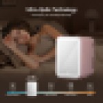 (4L Merah Muda) Kulkas Mini Cermin LED Portabel Kotak Es 4/8/10L UK