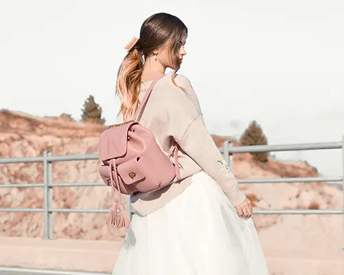 Careers-Software development